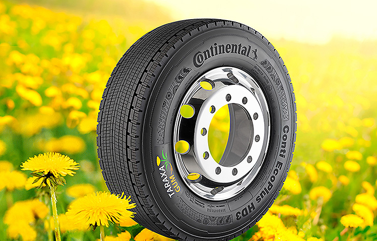 Шини з кульбаб від Continental – тепер і для вантажних автомобілів